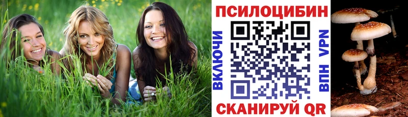 как найти закладки KRAKEN маркетплейс Галлюциногенные грибы мухоморы Карталы