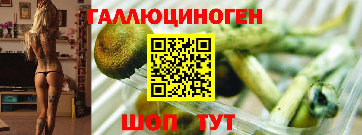 Галлюциногенные грибы Magic Shrooms Карталы